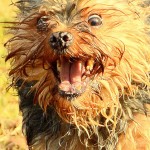 5512184436_2b43073648_z