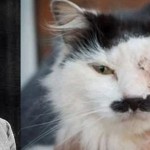hitlercat
