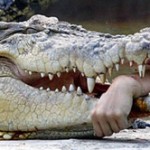 croc_with_arm