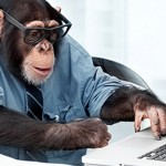 chimp