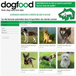 dogdog