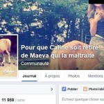 poney2
