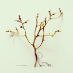 art-simple-19