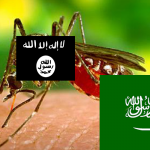 moustique-aedes-aegypti_1