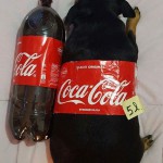 42uqw0xr5biy
