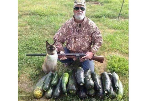 chasseur