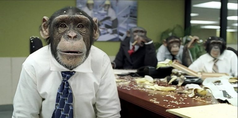 Il a signalé Nordpresse : Nos chimpanzés ont rasé sa ville avec une bombe nucléaire