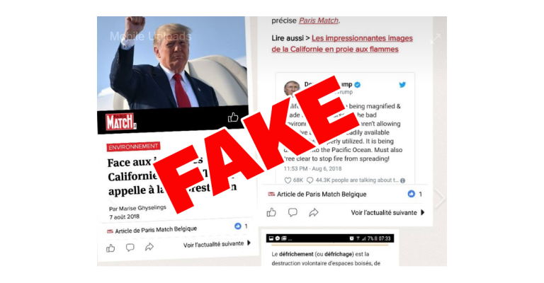 Tendance, les neurchis ont la cote : Nordpresse ouvre son propre neurchi de fake news