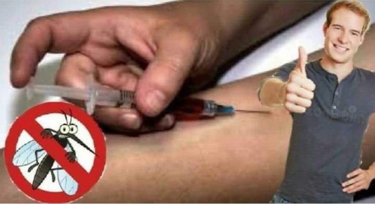 Pour ne plus se faire piquer par les moustiques, il s&rsquo;injecte du poison dans les veines et meurt 3 heures après