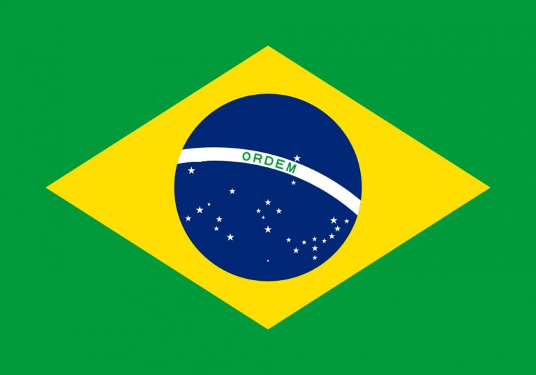 Brésil. Bolsonaro décide de supprimer la mention « Progresso » du drapeau national.