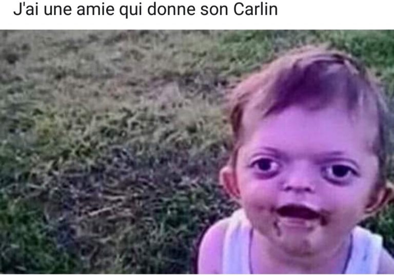Petite annonce: Carlin à donner