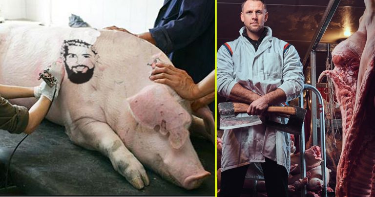 Un cochon se fait tatouer un musulman pour se protéger des blancs qui veulent l&rsquo;abattre