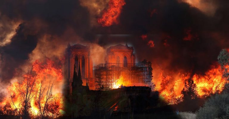 Vos colis en retard à cause des incendies d&rsquo;Amazon (PHOTOS)