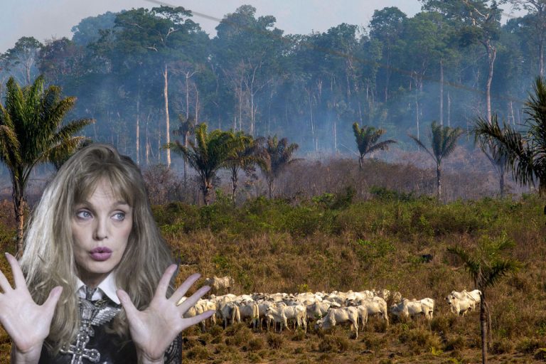 Arielle Dombasle va chanter pour la forêt amazonienne