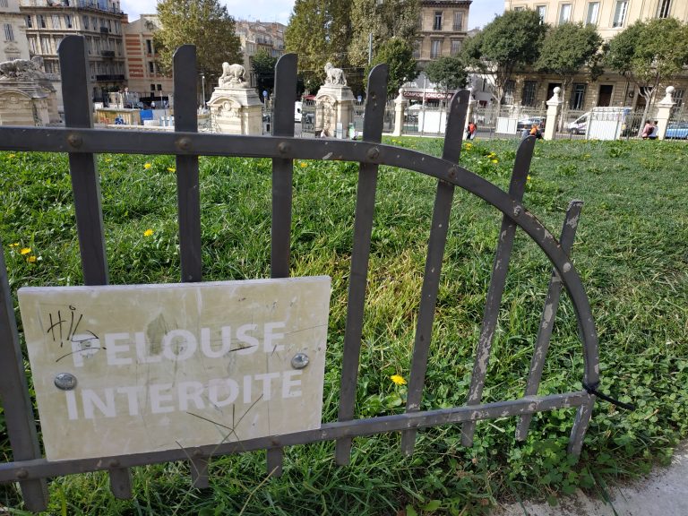L&rsquo;IGPN reprend l&rsquo;enquête sur « le poseur de pelouse »