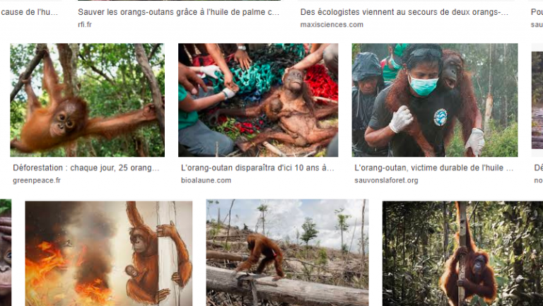 Les Orangs Outans « relogés » par Nutella se félicitent de leur action contre Zemmour