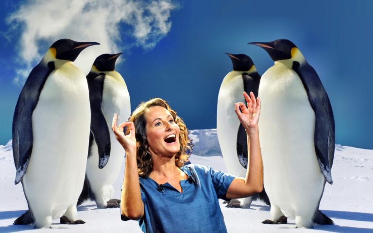 Bilan de Ségolène Royal: « J&rsquo;ai mis fin au conflit pingouino-manchotien »