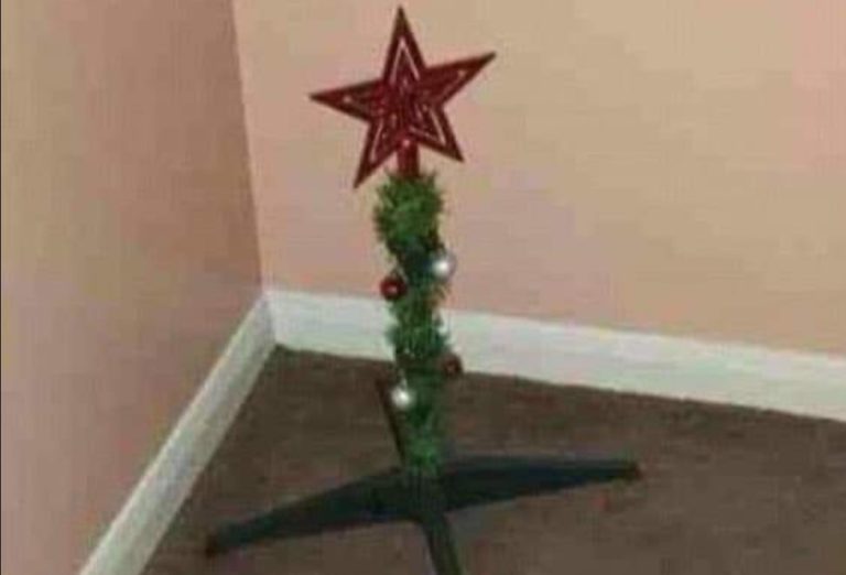 Découvrez le sapin de Noël ecoresponsable de Greta Thunberg