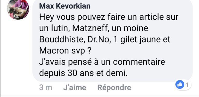 Un lutin, Matzneff, un moine Bouddhiste, Dr.No, un gilet jaune et Macron retrouvés morts dans une partouze du reveillon