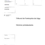 2020 01 10 SUD PRESSE c HERREGAT V et VINCESTONIAN SDE PLC (A-19-00796) aud 6-12-2019-page-001