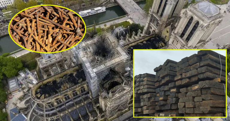 La charpente de Notre-Dame sera exclusivement reconstruite avec des morceaux de la Vraie Croix
