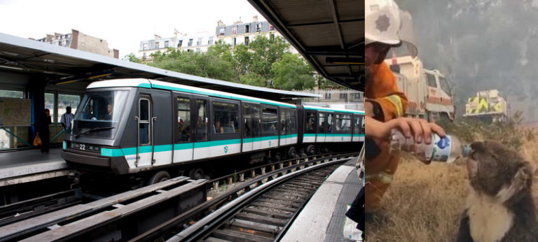Bilan de la grève RATP, 10 Koalas morts et 1000 rats à cause de la pollution induite