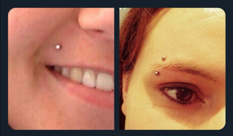 Un zoo belge vient d&rsquo;accueillir les 4 derniers spécimens ayant ces piercings