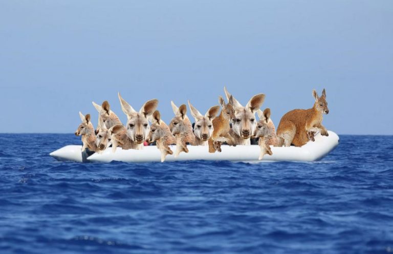 Première arrivée massive des migrants australiens au Liban