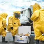 corona virus