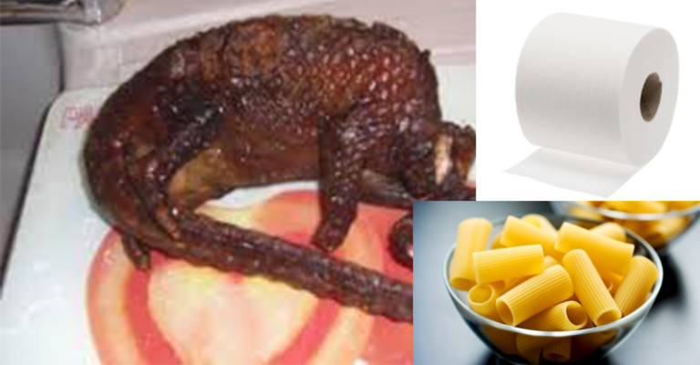 Recette du Pangolin aux pâtes et au PQ.