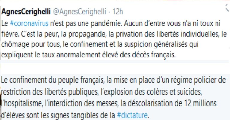 Pour limiter la contagion, Agnès Cerighelli restera confinée dans sa connerie !