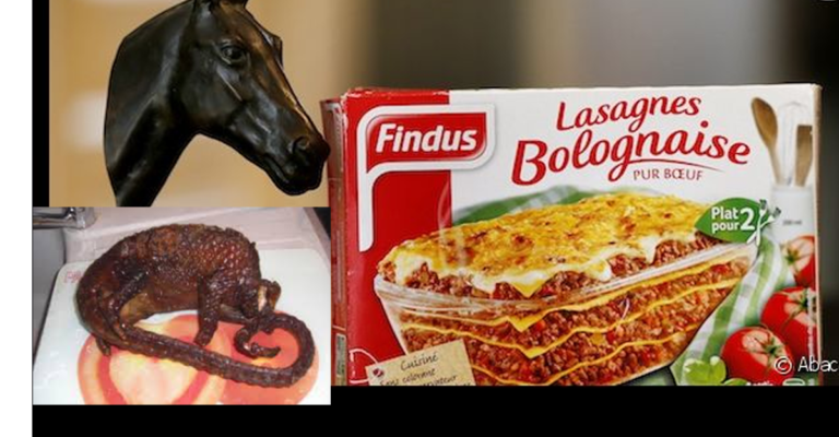 Findus retire le pangolin de ses lasagnes et remet du cheval