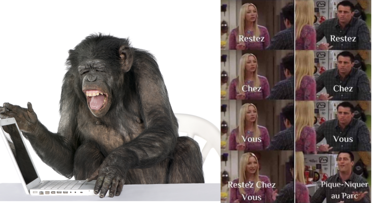 Les Français, sont-ils trop cons pour rester chez eux ? Notre Chimpanzé, qui reste chez lui, répond.