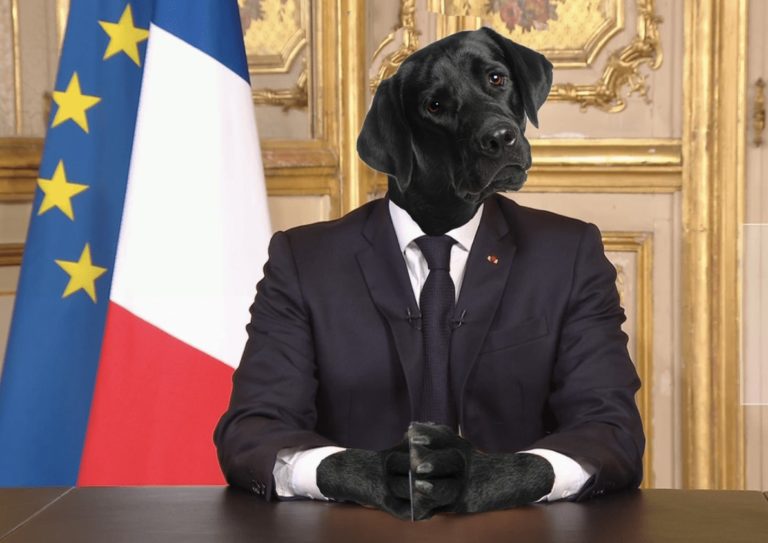 [Allocution] Pour sensibiliser les gens à l&rsquo;adoption, Emmanuel Macron sera remplacé par son chien