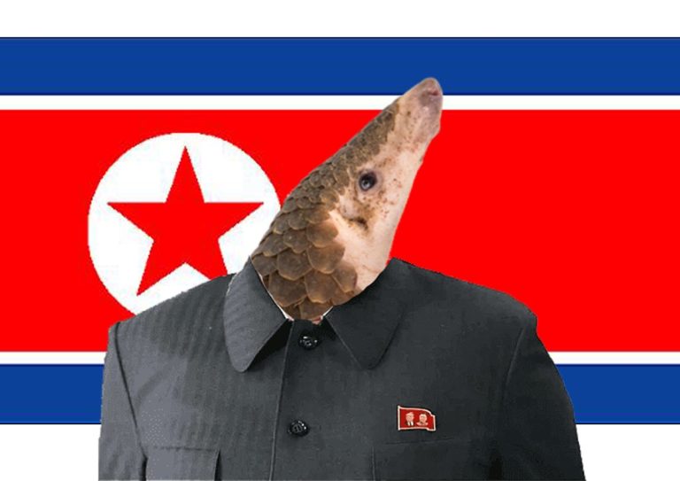 Pan Go-Lin remplacera Kim Jong-Un à la tête de la Corée du Nord