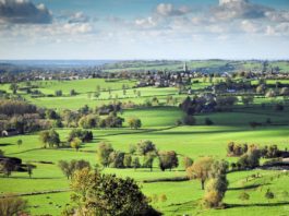 Le vrai paysage