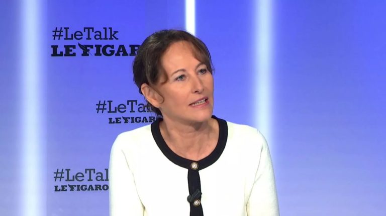 On avoue tout: Segolene Royal est un gros fake