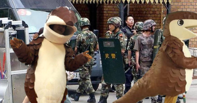 Chine: les Ouïghours se déguisent en pangolins pour échapper aux camps chinois