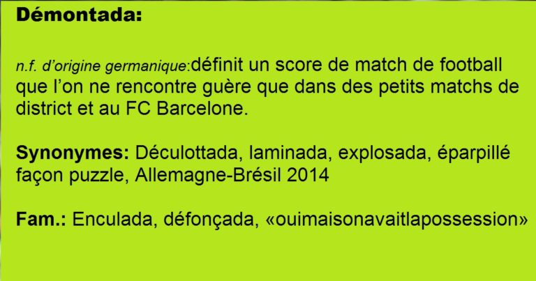 Espagne: l&rsquo;Académie valide le terme de « Démontada », qui entrera dans le dictionnaire