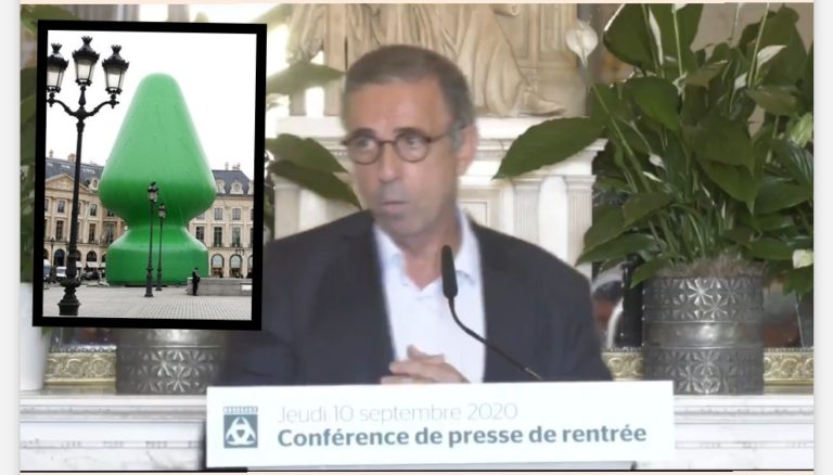 Bordeaux: Le Maire présente le futur sapin de Noël