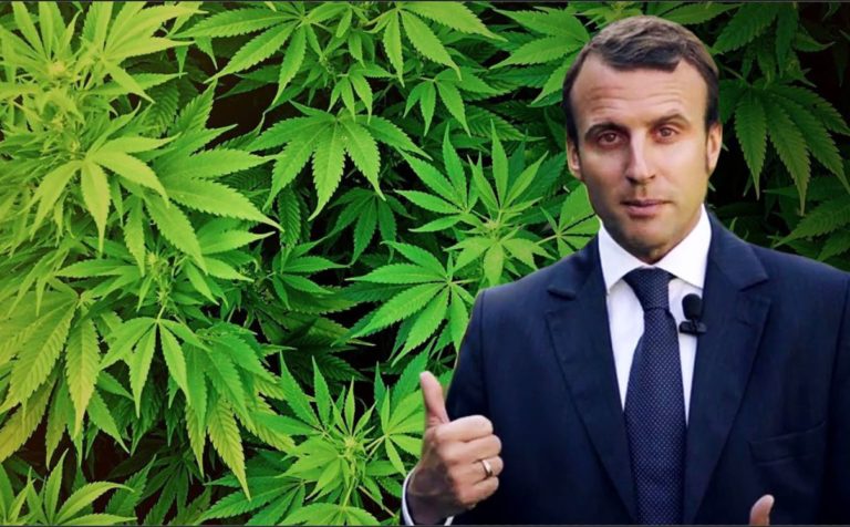 Reconfinement : Emmanuel Macron annonce la légalisation immédiate du cannabis pour faire passer la pilule rouge