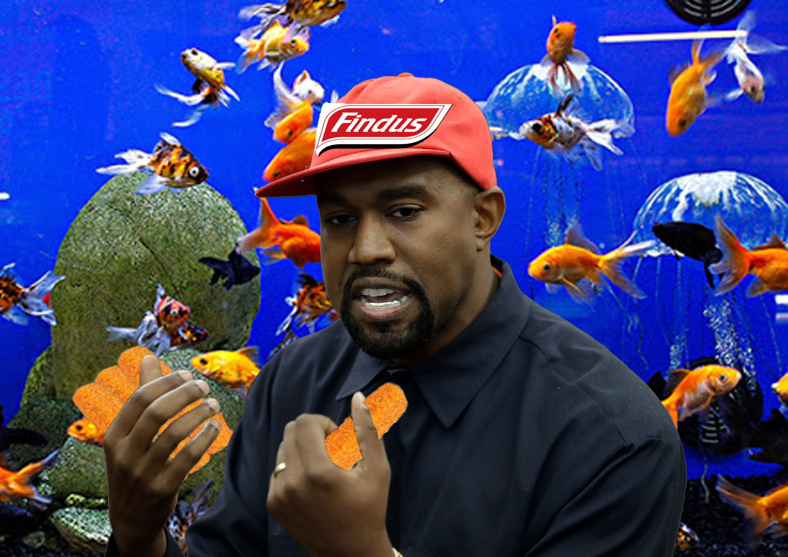 Kanye West élu Président de Findus