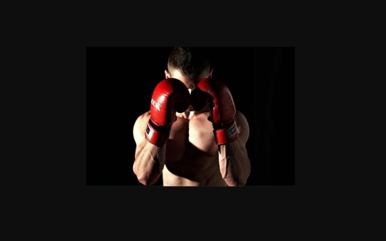 Événement : Pulev VS Joshua dans un match de boxe des champions