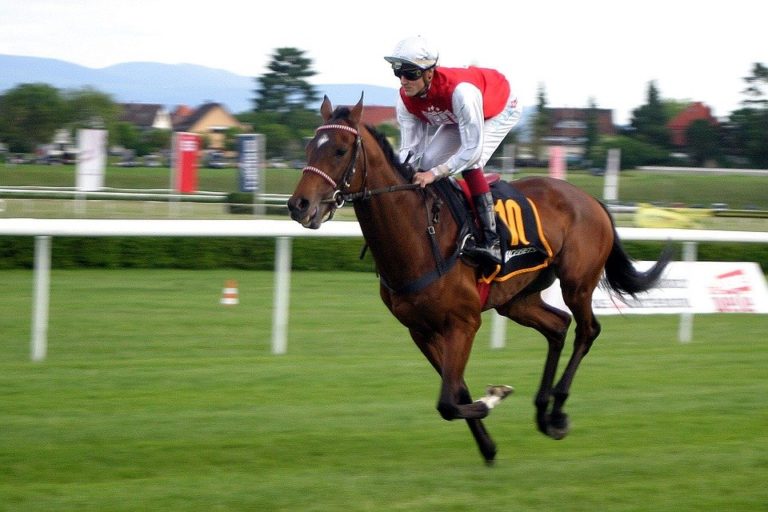 Le Prix d’Amérique disputé sans jockey