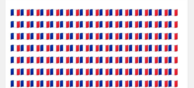 ALERTE : Le seum se dira désormais 🇲🇫
