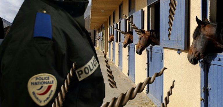 Opération coup de filet dans le milieu hippique: saisie record de cornes de licorne
