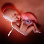 une-semaine-de-foetus-100716967