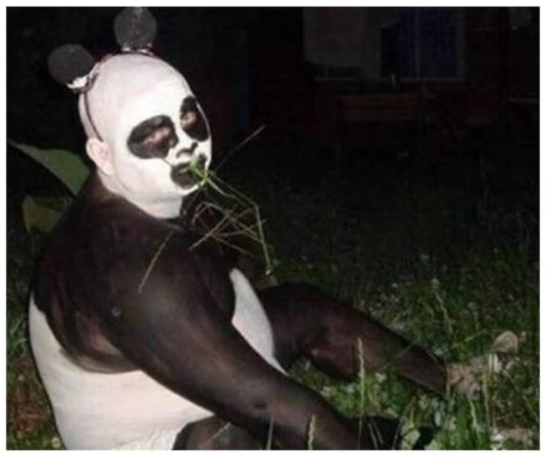 Chine : des opposants politiques utilisés pour faire gonfler artificiellement le nombre de pandas géants
