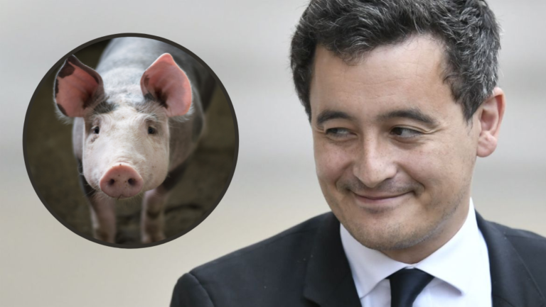 Des chirurgiens greffent avec succès le cœur d’un porc sur un humain