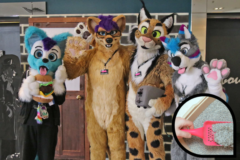 USA : une université obligée de placer des litières dans les classes pour les élèves furries